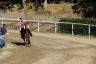 La gallery fotografica delle corse a Fucecchio