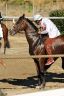 La gallery fotografica delle corse a Fucecchio