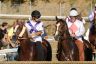 La gallery fotografica delle corse a Fucecchio