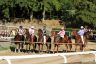La gallery fotografica delle corse a Fucecchio