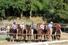 La gallery fotografica delle corse a Fucecchio