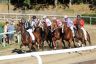 La gallery fotografica delle corse a Fucecchio