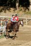 La gallery fotografica delle corse a Fucecchio