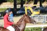 La gallery fotografica delle corse a Fucecchio