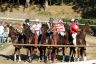 La gallery fotografica delle corse a Fucecchio