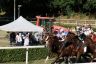 La gallery fotografica delle corse a Fucecchio