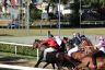 La gallery fotografica delle corse a Fucecchio