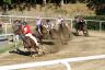 La gallery fotografica delle corse a Fucecchio