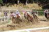La gallery fotografica delle corse a Fucecchio