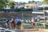 La gallery fotografica delle corse a Fucecchio