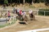 La gallery fotografica delle corse a Fucecchio
