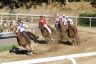 La gallery fotografica delle corse a Fucecchio