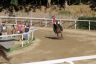 La gallery fotografica delle corse a Fucecchio