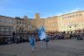 La galleria fotografica del Minimasgalano 2019