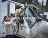 Mociano: la gallery di Lara Latragna dei lavori di addestramento