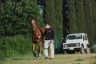 Questa mattina due cavalli si sono allenati alla pista di Mociano