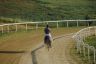 Questa mattina due cavalli si sono allenati alla pista di Mociano
