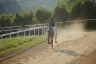 Questa mattina due cavalli si sono allenati alla pista di Mociano