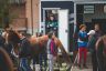 Monteroni d'Arbia: la fotogallery delle corse di oggi