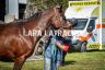 Monticiano: ecco la fotogallery di Lara Latragna