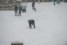 La fotogallery della neve a Siena