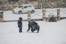 La fotogallery della neve a Siena