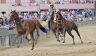 Palio 17 agosto 2022: le foto di Antonio Fraioli