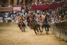 La fotogallery della Carriera del 2 luglio 2018