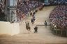 La fotogallery della Carriera del 2 luglio 2018