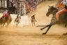 La fotogallery della Carriera del 2 luglio 2018