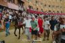 Palio 2 luglio 2019: la fotogallery della corsa