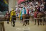 Palio 2 luglio 2019: la fotogallery della corsa