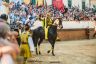 La fotogallery del Palio di Bientina 2019