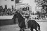 La fotogallery del Palio di Bientina 2019