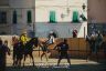 La fotogallery del Palio di Bientina 2019