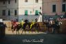 La fotogallery del Palio di Bientina 2019