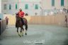 La fotogallery del Palio di Bientina 2019