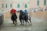 La fotogallery del Palio di Bientina 2019