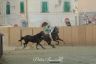 La fotogallery del Palio di Bientina 2019