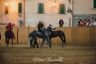 La fotogallery del Palio di Bientina 2019