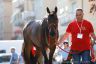 La fotogallery del Palio di Piancastagnaio 2019