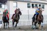 La fotogallery del Palio di Piancastagnaio 2019