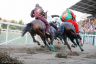 La fotogallery del Palio di Piancastagnaio 2019
