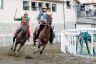 La fotogallery del Palio di Piancastagnaio 2019
