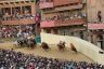 Palio Straordinario: la fotogallery di Benedetta Aucone