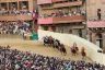 Palio Straordinario: la fotogallery di Benedetta Aucone