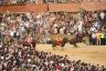 Palio Straordinario: la fotogallery di Benedetta Aucone