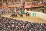 Palio Straordinario: la fotogallery di Benedetta Aucone