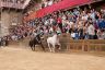 Palio Straordinario: la fotogallery di Benedetta Aucone