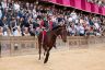 Palio Straordinario: la fotogallery di Benedetta Aucone